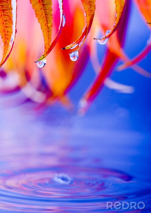 Sticker Nasse Blätter