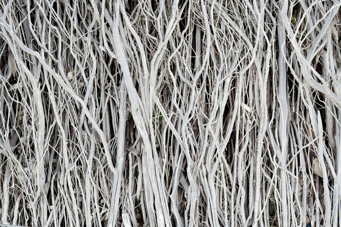 Sticker Natürliche getrocknete Zweige