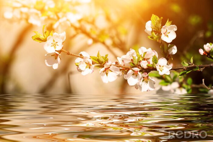 Sticker Natur am See