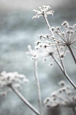 Sticker Natur im Winter