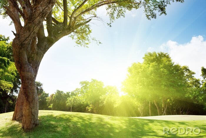 Sticker Natur und Gras