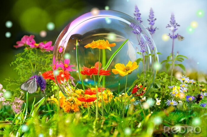 Sticker Natur und Landschaften der bunten Wiese