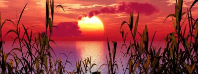 Natur und Sonnenuntergang