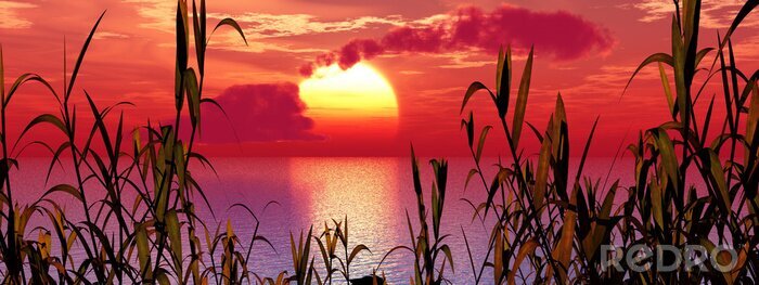 Sticker Natur und Sonnenuntergang