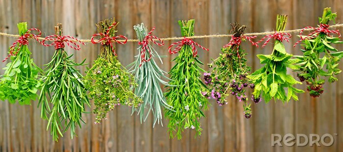 Sticker Naturkräuter auf rustikalen Brettern