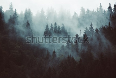 Sticker Neblige Landschaft mit Tannen im Retro-Hipster-Stil