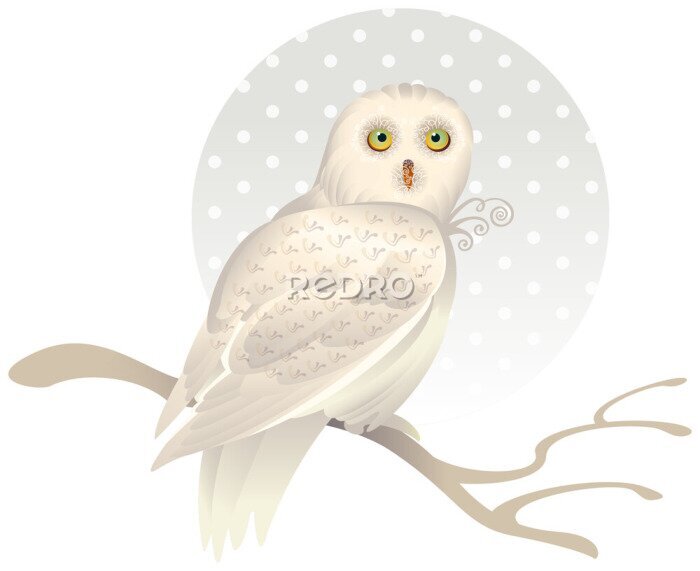 Sticker Niedliche weiße Eule auf einem Ast