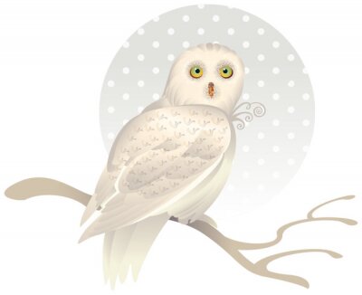 Sticker Niedliche weiße Eule auf einem Ast