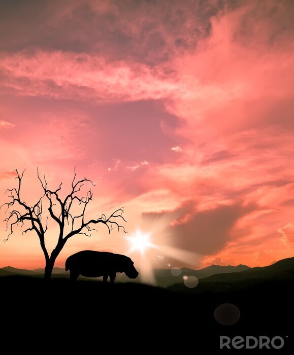 Sticker Nilpferd-Silhouette