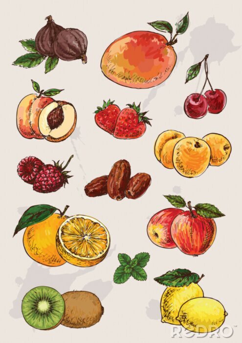Sticker Obst gemalt