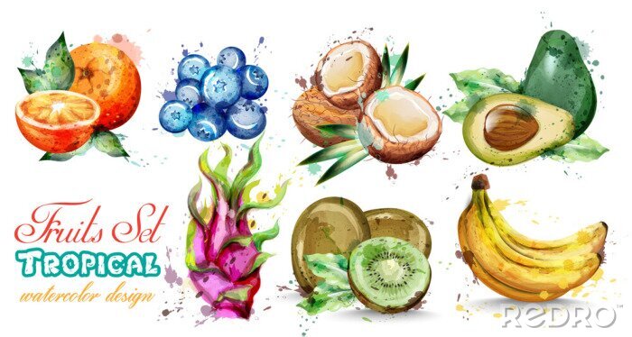Sticker Obst und Gemüse Pastell-Illustration mit Aufschrift