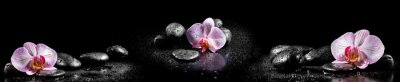 Sticker Orchidee 3D Steine und Wassertropfen