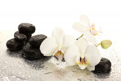 Orchideen SPA-Steine und Wassertropfen