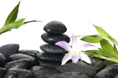 Sticker Oriental Spa - rosa Orchidee, Bambus Stammzellen in Wassertropfen