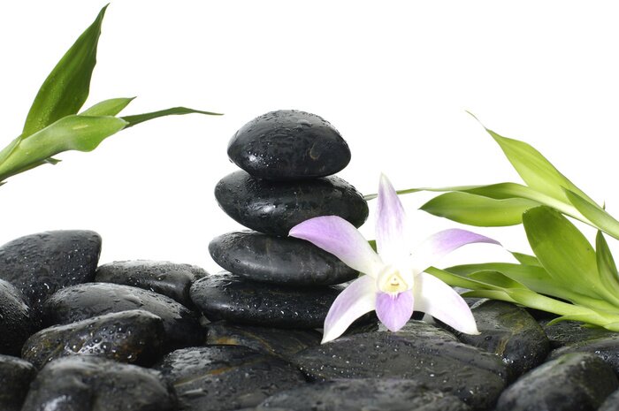 Sticker Oriental Spa - rosa Orchidee, Bambus Stammzellen in Wassertropfen