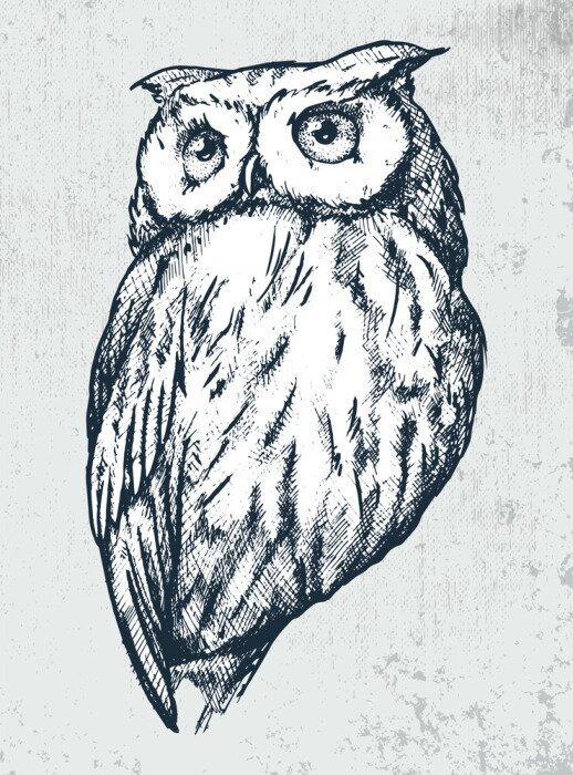 Sticker Owl on grunge background. Hand drawn vector illustration of owl in in technique. Good for t-shirts, posters, labels, stickers.