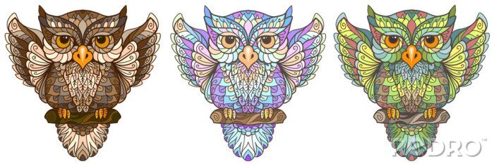 Sticker Owl. Wall sticker. Set of 3 artistic, hand-drawn, decorative multicolored owls on a white background.