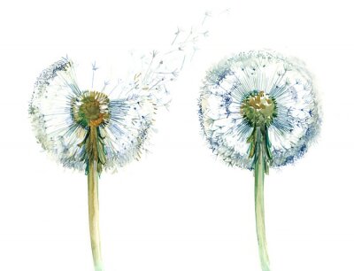 Sticker Paar od Löwenzahn