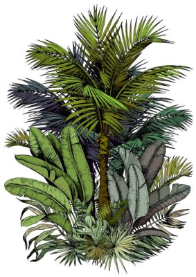 Palme und Blätter wie gemalt