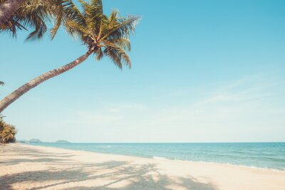 Palmen am grenzenlosen Ozean