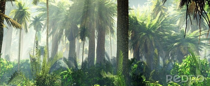 Sticker Palmen im Dschungel