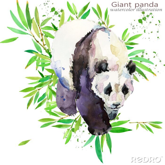 Sticker Panda 3d in Aquarell Illustration