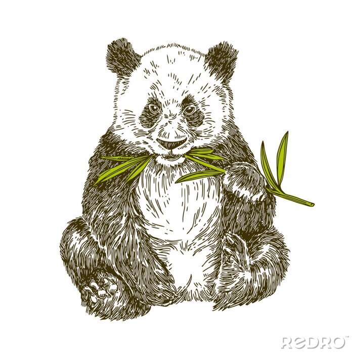 Sticker Panda mit Stielbambus. Vektor-Illustration,