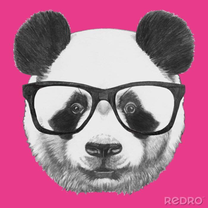 Sticker Pandabär mit großer Brille