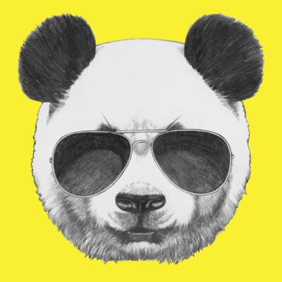 Sticker Pandabär mit Sonnenbrille