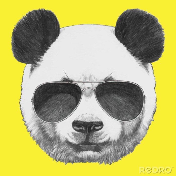 Sticker Pandabär mit Sonnenbrille