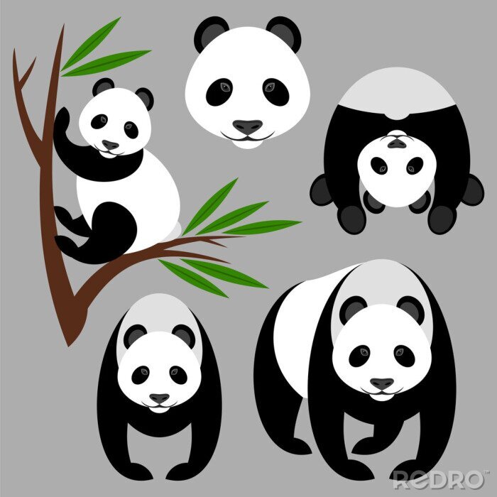 Sticker Pandabären auf grauem Hintergrund