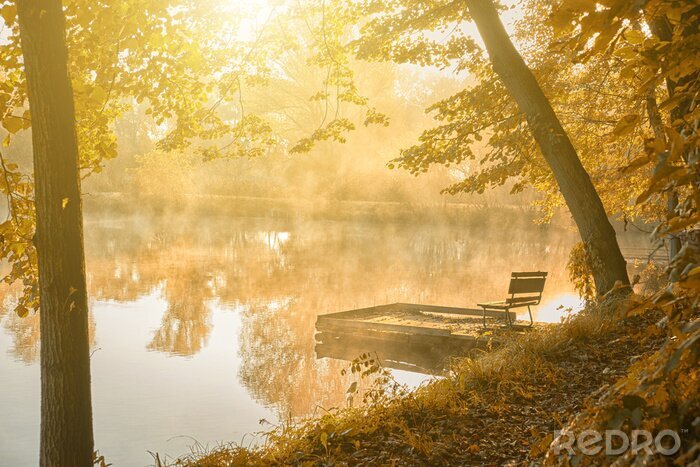 Sticker Park im Nebel
