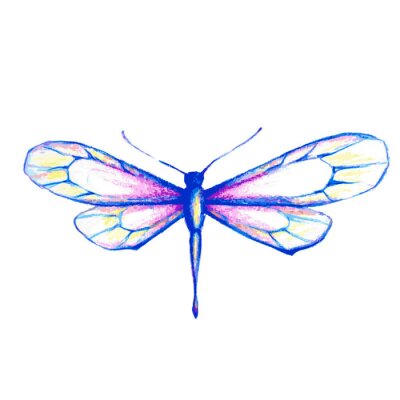 Pastellfarbene Libelle auf weißem Hintergrund