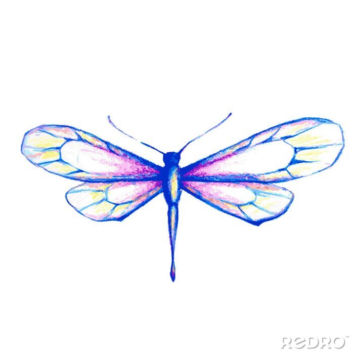 Sticker Pastellfarbene Libelle auf weißem Hintergrund