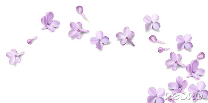 Sticker Pastellhintergrund mit lila Blüten.