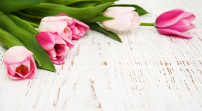 Sticker Pastelltulpen auf Brettern