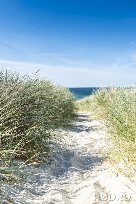 Sticker Pfad zum Strand