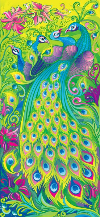 Sticker Pfauen mit farbigen Schwänzen