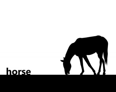 Sticker Pferde schwarze Silhouette eines Pferdes mit gesenktem Kopf