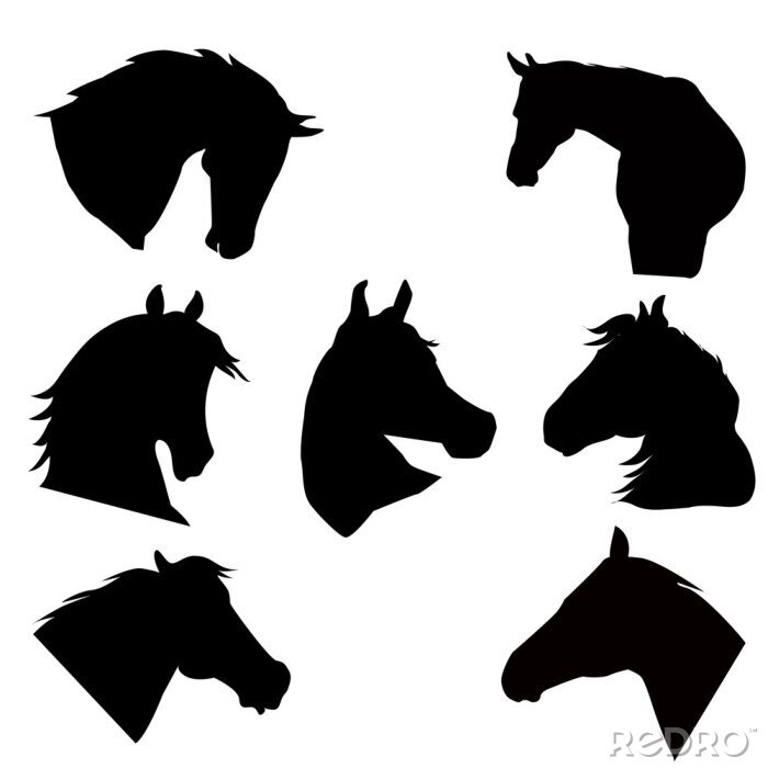Sticker Pferdekopf in verschiedenen Stellungen Grafik