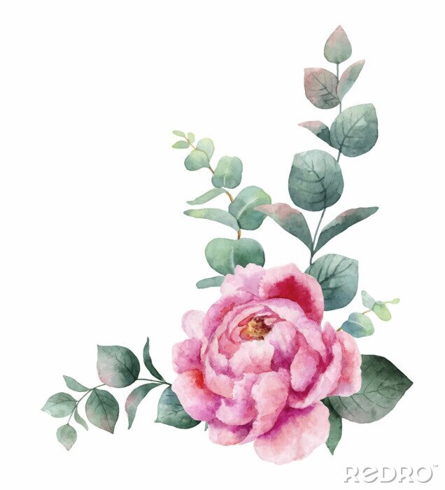 Sticker Pfingstrose mit Eukalyptusblättern verziert