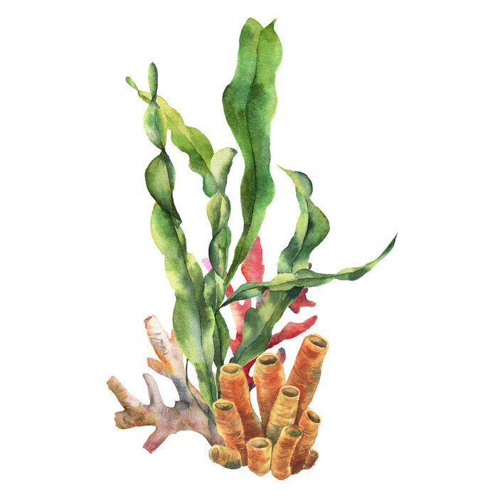 Sticker Pflanze aus Ozeanboden