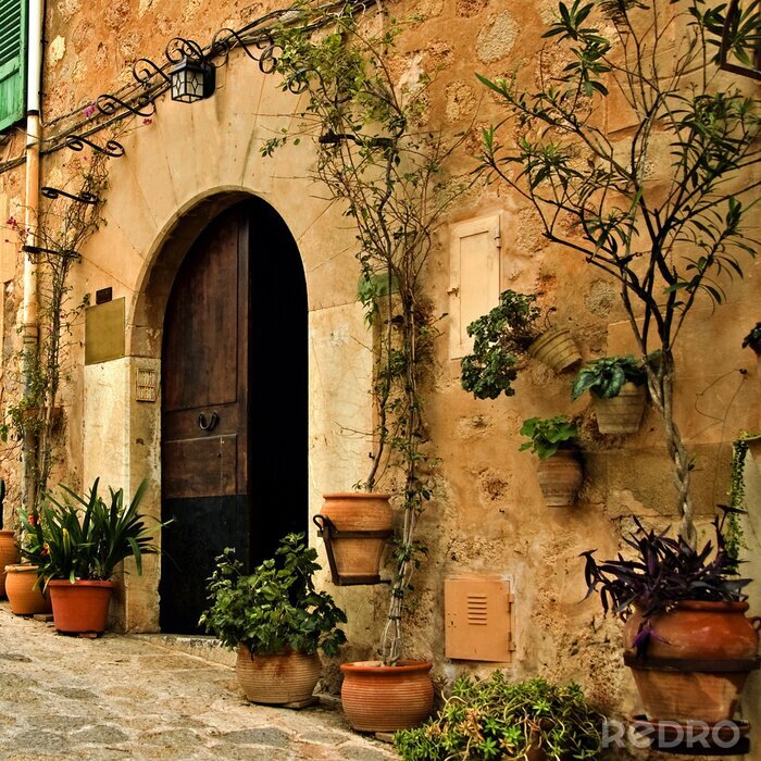 Sticker Pflanzen bei hölzernem Tor