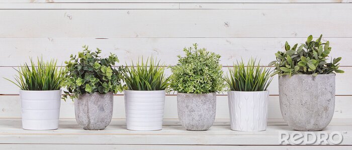 Sticker Pflanzen in hellen Töpfen