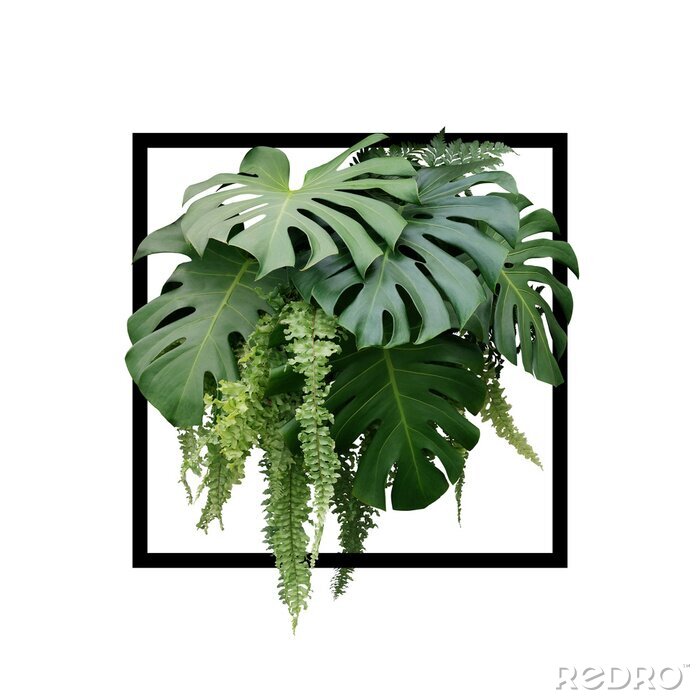 Sticker Pflanzen in schwarzem Rahmen