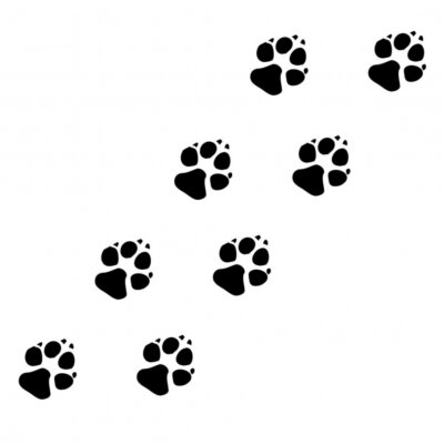 Sticker Pfoten2