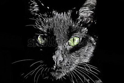 Sticker Porträt einer Katze mit glänzendem Fell