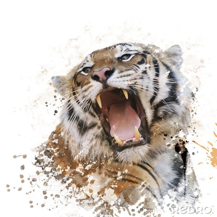 Sticker Porträt eines brüllenden tigers