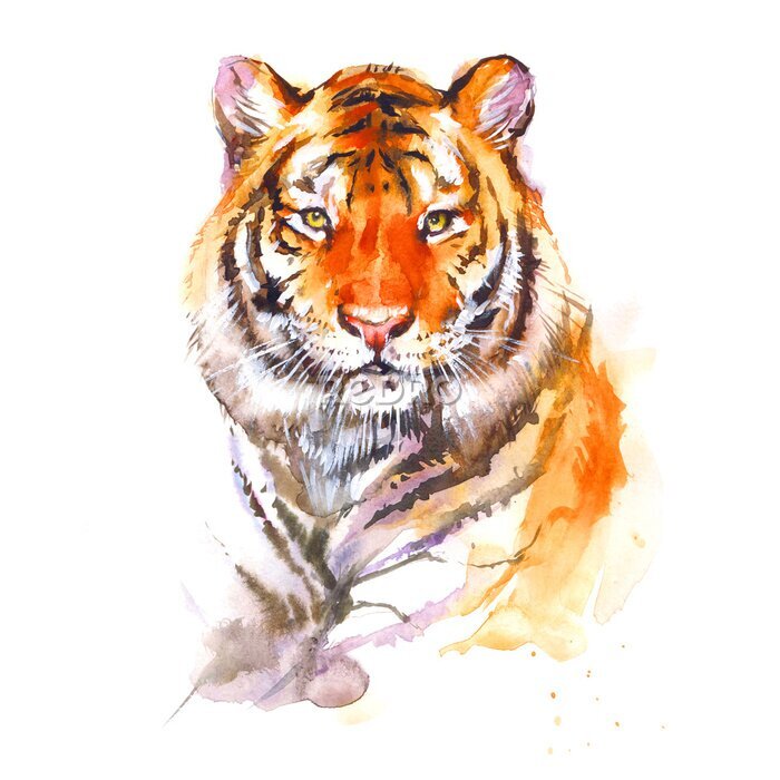 Sticker Porträt eines würdevollen Tigers