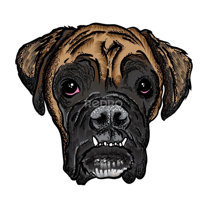 Sticker Porträt von Boxer Welpen. Hand gezeichnet Hund Illustration. T-Shirt und Tattoo Konzept Design. Vektor.